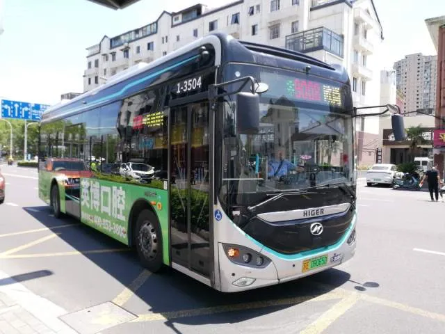 苏E09065D