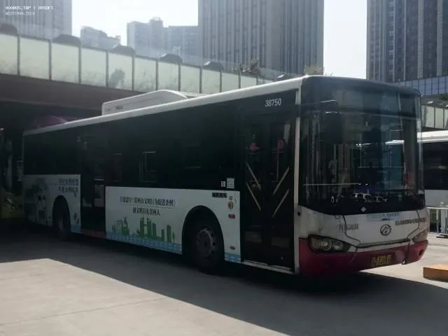 苏D72666