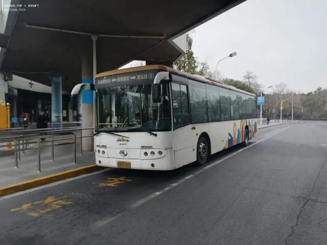 沪B81415