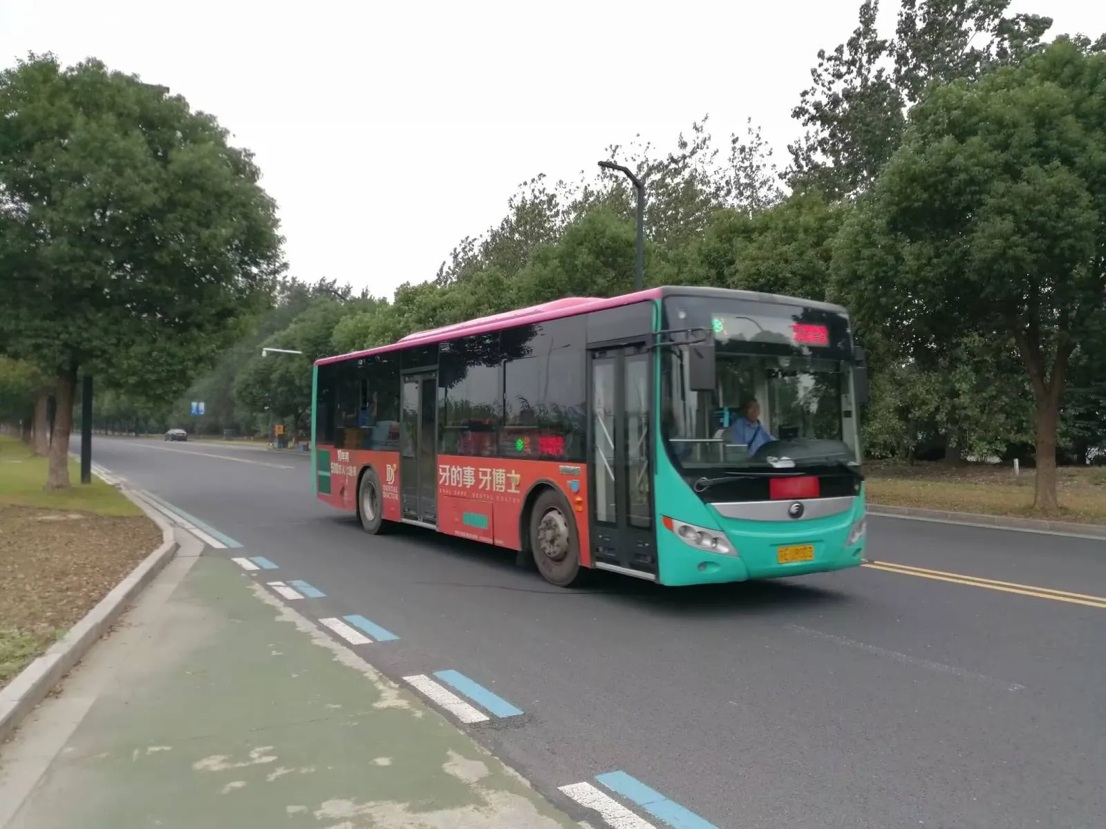 Bus Archive