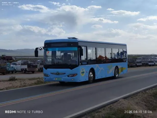 青E08816D