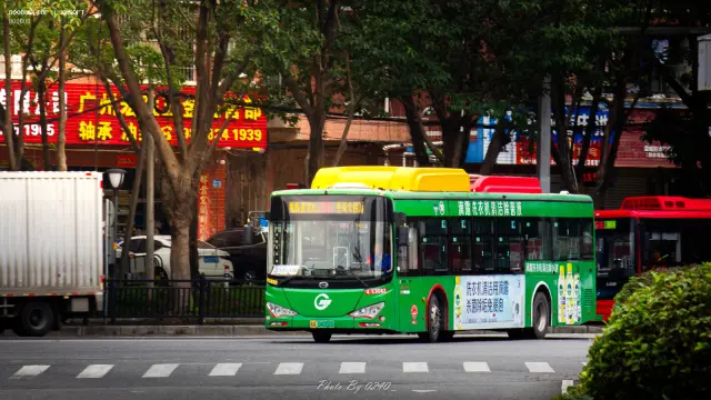 粤A 04202D