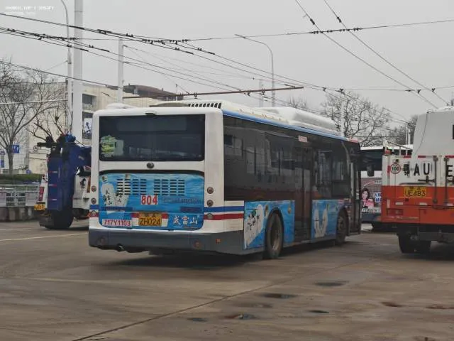 800BUS