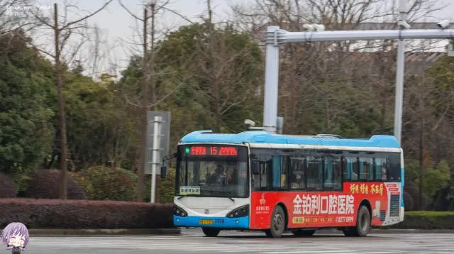 苏K.37033