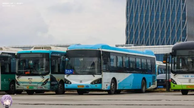 苏K.37086