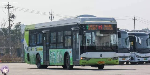 苏K.38681