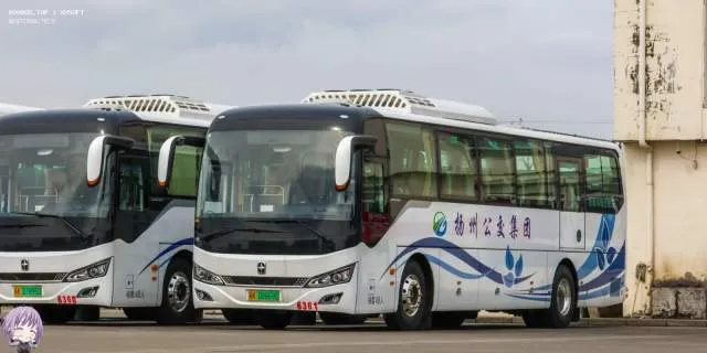 苏K.08869D
