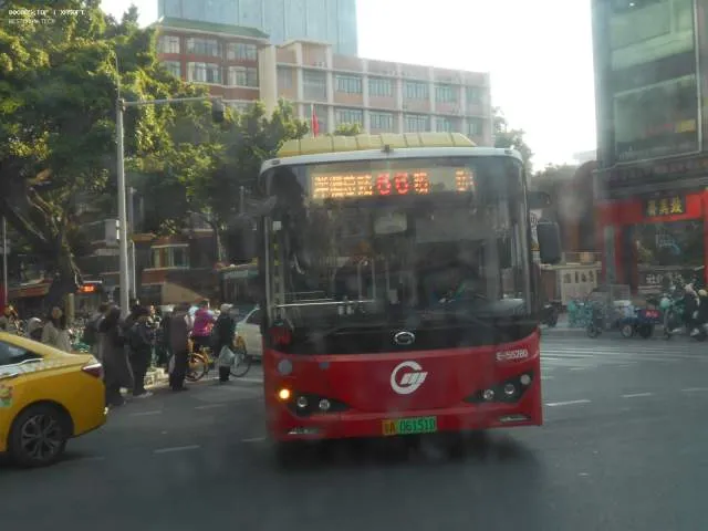 粤A 06151D