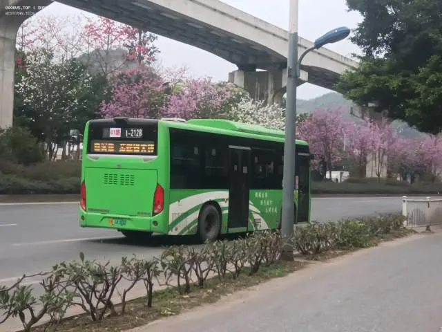 未知