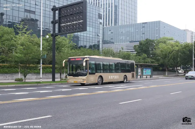 浙A 3L731