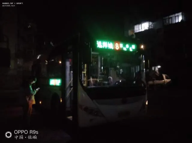 辽D·43101
