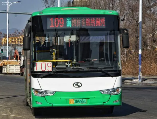 辽D·09288D