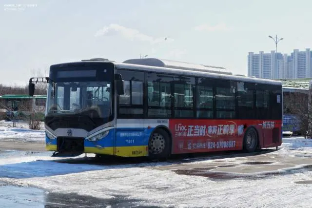 辽D·09299D