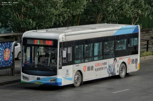 辽A·03309D