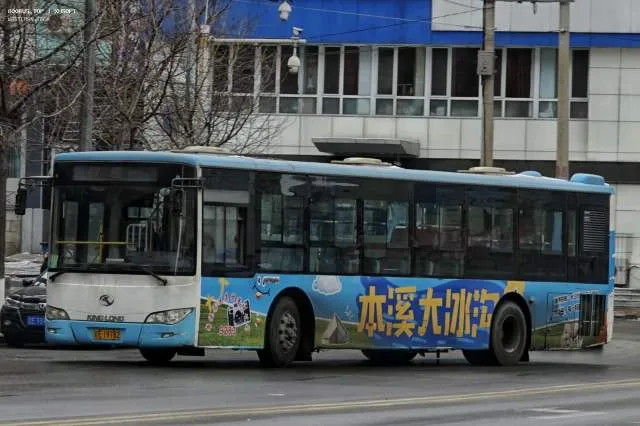 辽E·19782