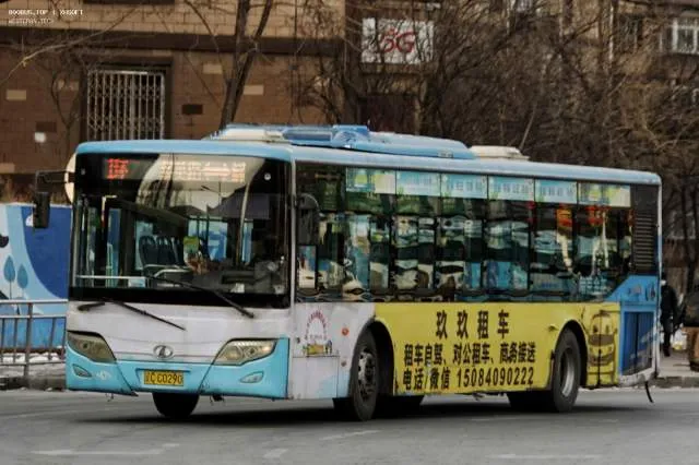辽C·C0290