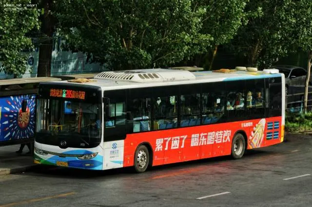 辽A·N6657