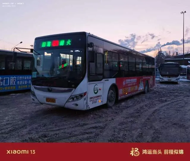 辽D·43443