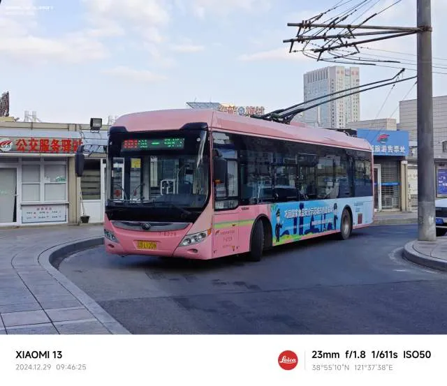 辽B·L1208