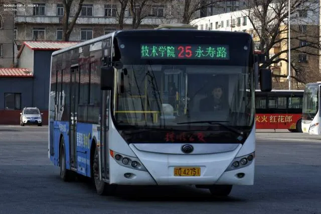 辽D·42751