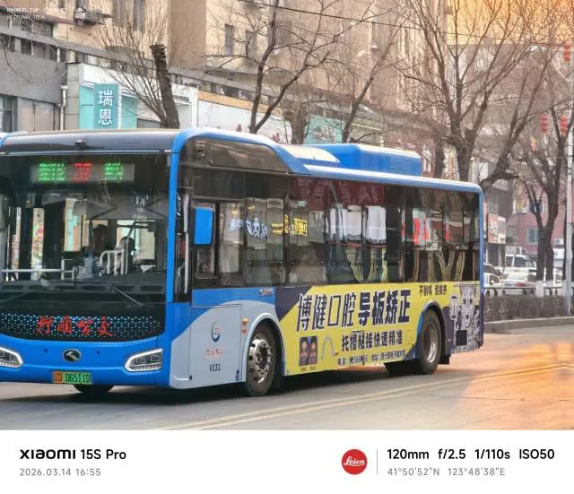 辽D·06511D