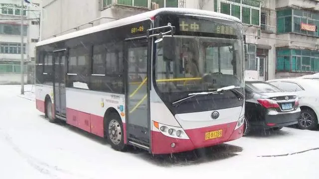辽D·81288