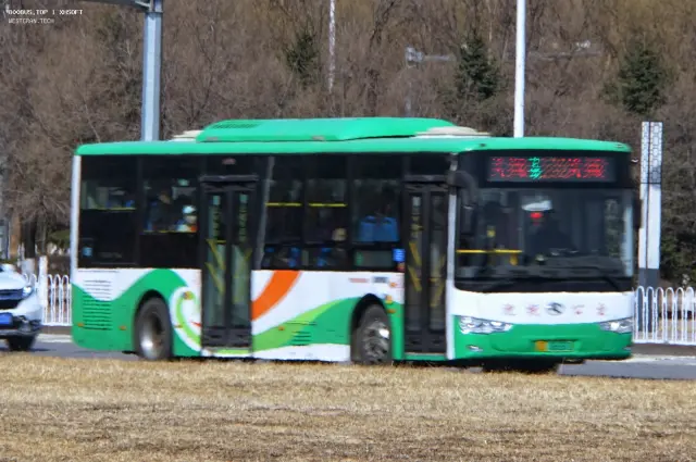 800BUS