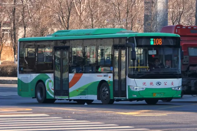 800BUS
