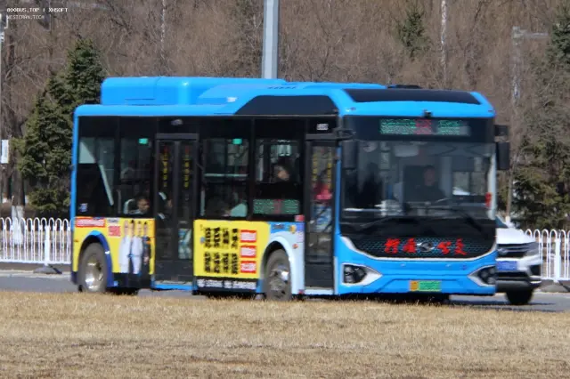 800BUS