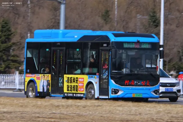辽D·02885D