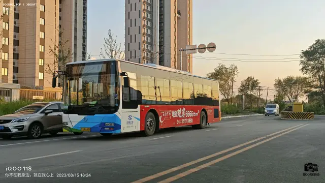 800BUS