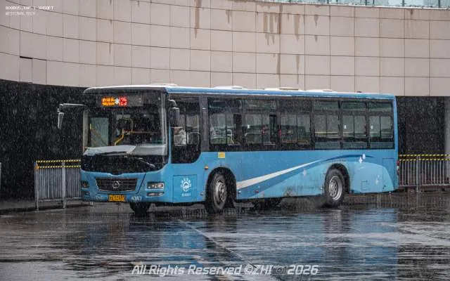 甘A53885