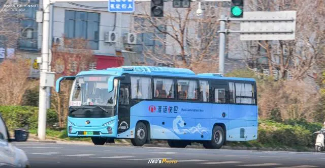 苏H.06656D