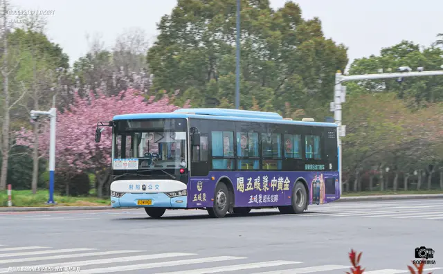 苏J W8802