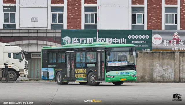 800BUS