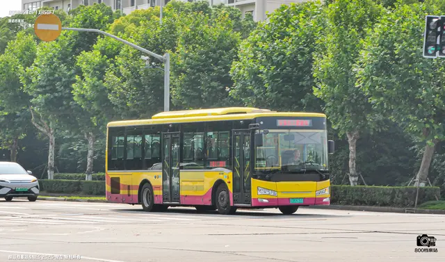 民航 沪2604