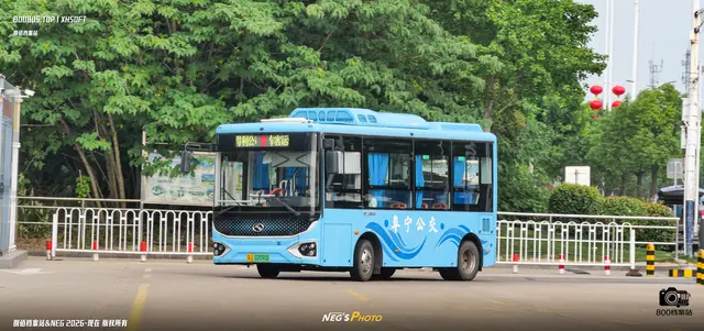 800BUS