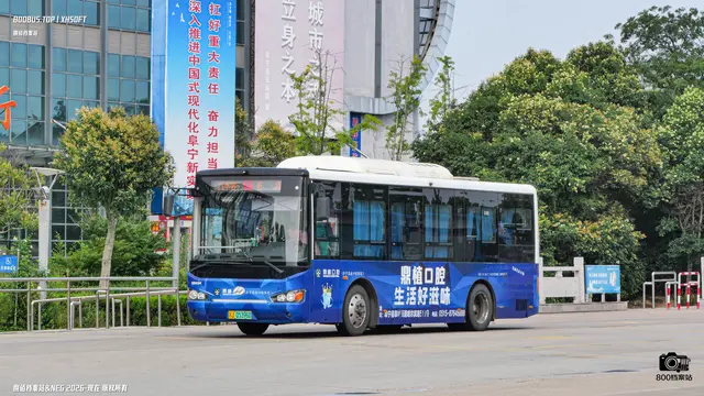 800BUS