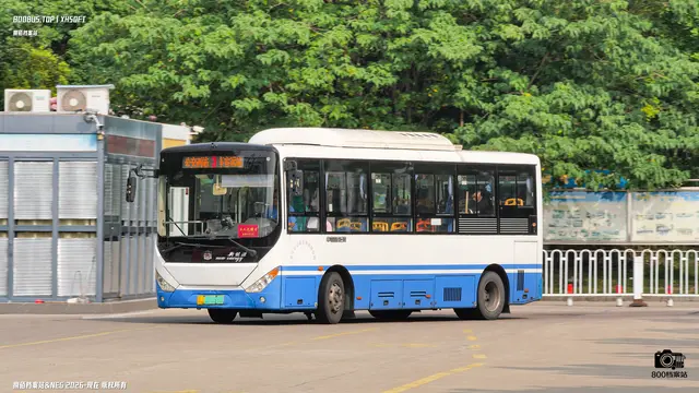 800BUS