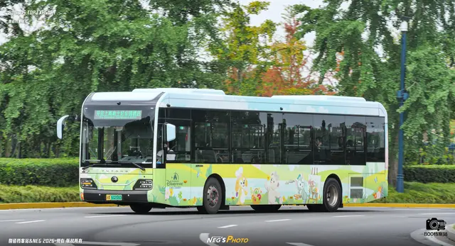 800BUS