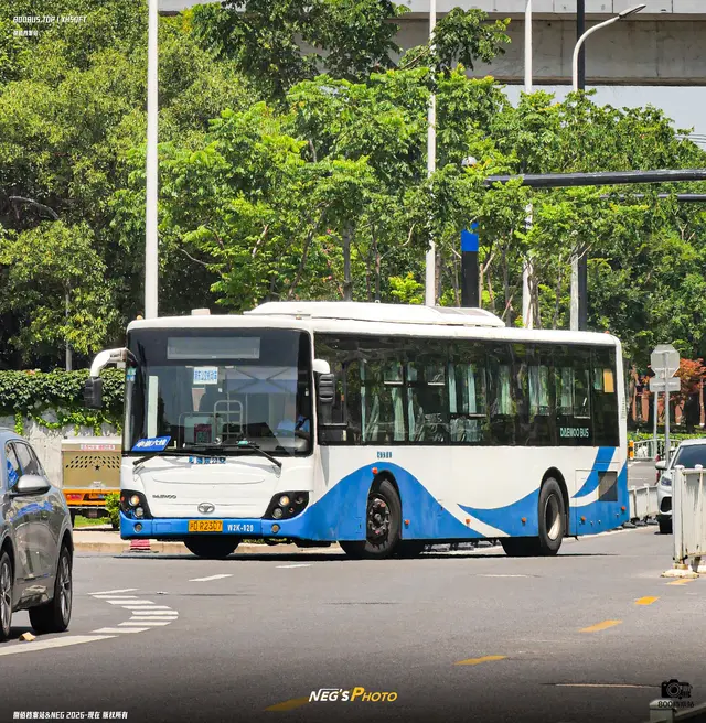 沪D R2307