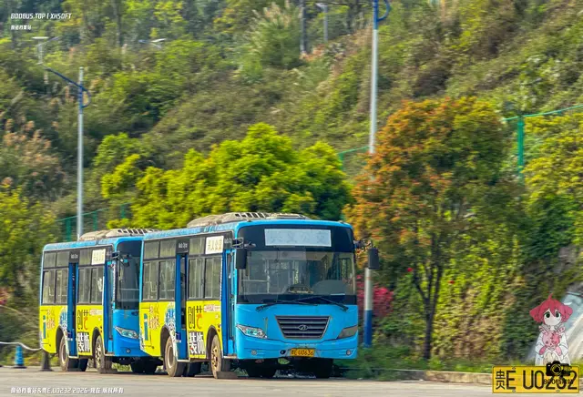 800BUS