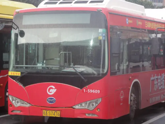 800BUS