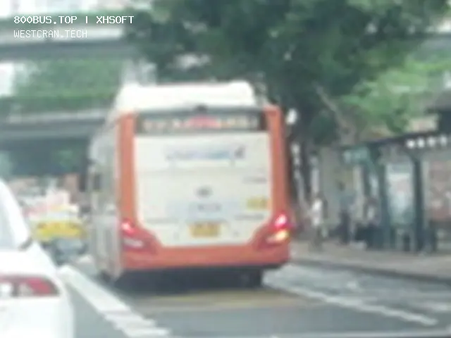 800BUS