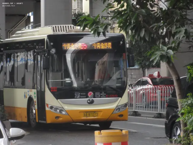 800BUS