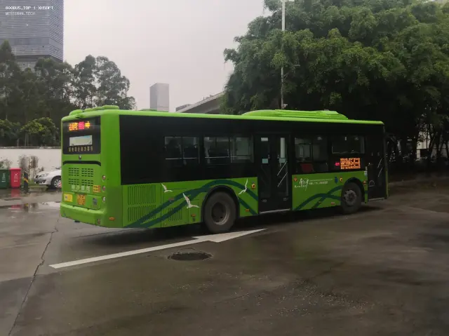 800BUS