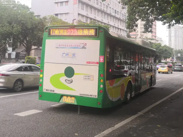 800BUS