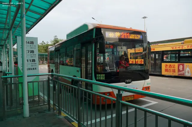 800BUS