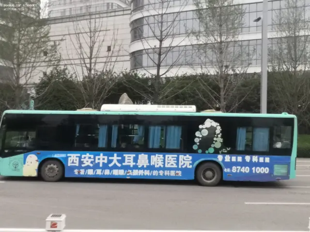 800BUS
