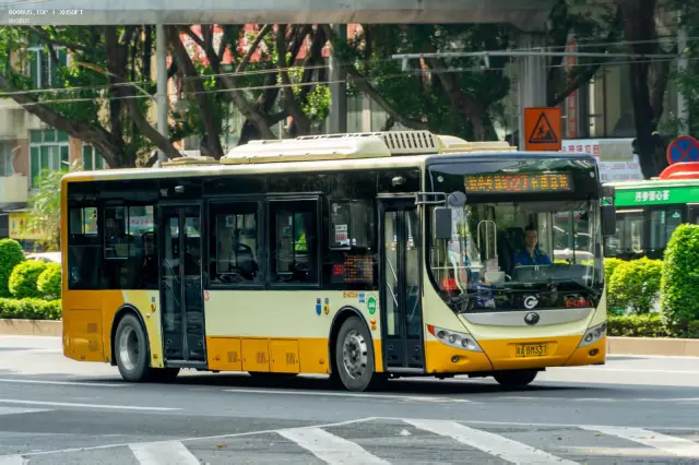 粤A BM337（E-42534）